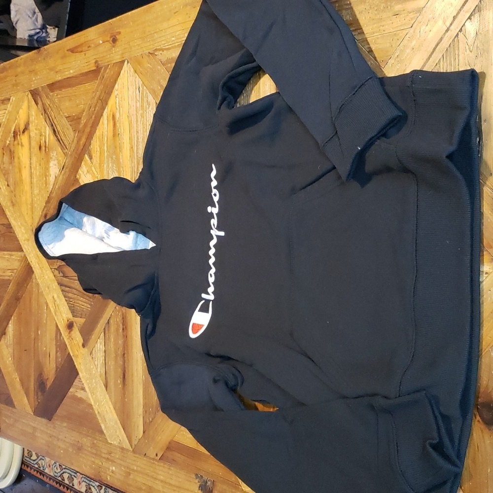 Champion Authentic Athleticwear hoodie large